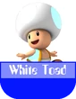 White Toad MR