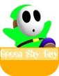 Green Shy Guy MR