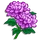 Chrysanthemum-icon