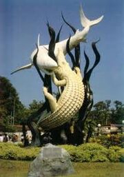 Images (18)
