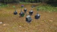 Rock Pikmins