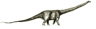 Newsfusuisaurus