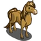 Java Pony-icon