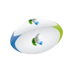 Boomerang Ball