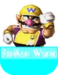 Striker Wario MR