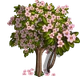 Summer Cherry Tree-icon