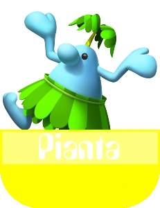 Pianta MR