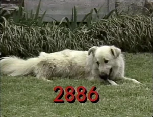2886