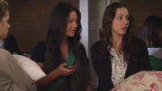PLL219-00306
