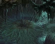 EvilForestPlantBrainArea