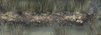 Qu'sMarshShore3
