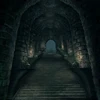 BurmeciaPathway
