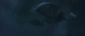 Avp-ship05