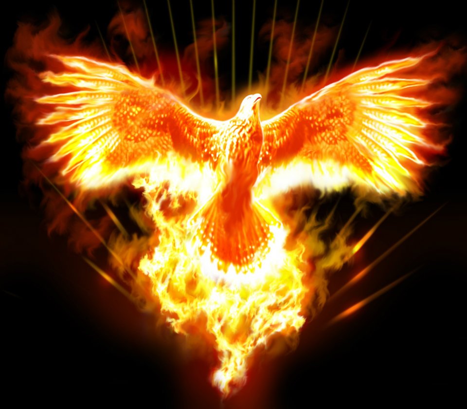Eagle With Fire