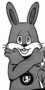 Usagi stance