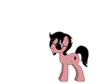 HaydenPony