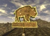 Bison2.jpg