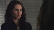 PLL224-00897