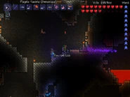 Tim terraria