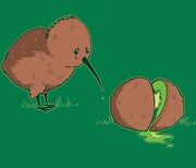 Birds,brown,fun,green,illustration