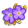 Royal Forget-Me-Not-icon