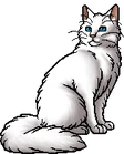 Cloudpelt.warrior