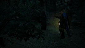 Chasing Shadows