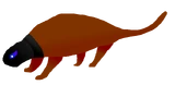 Ottus