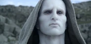 Sacrificial engineer prometheus1
