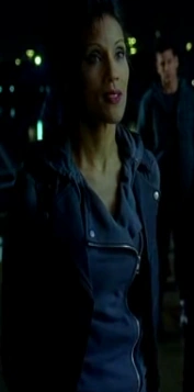 Vamp Cat 5x1