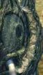 CleyraTreeTrunk3