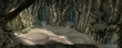 CleyraTreeTrunk11