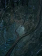 FossilRooGarganPath4