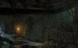 FossilRooNest12