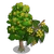 American Liden Tree-icon