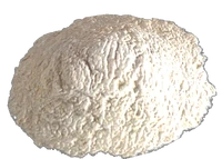 Mammoth Tusk Powder
