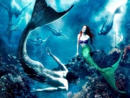 Sereia