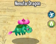 Nenufar dragon lv1-3