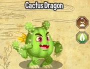 Cactus dragon lv4-6