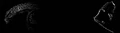 Thumbnail for version as of 16:15, June 13, 2012