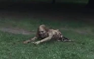 Hannah 4
