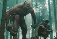 Cy in Wrath