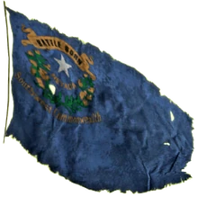 Nevada flag