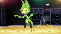 EP746 Leavanny junto a Ash