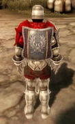 WardenTowerShield