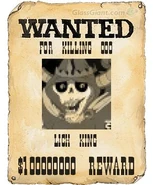 Wantedposter (3)