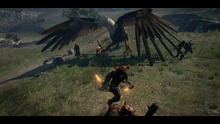 Griffin1