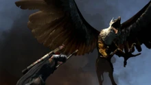 Griffin4