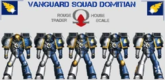 Marines Errant