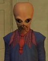 Faeto.jpg